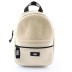 Dannie II Mini Backpack Clear